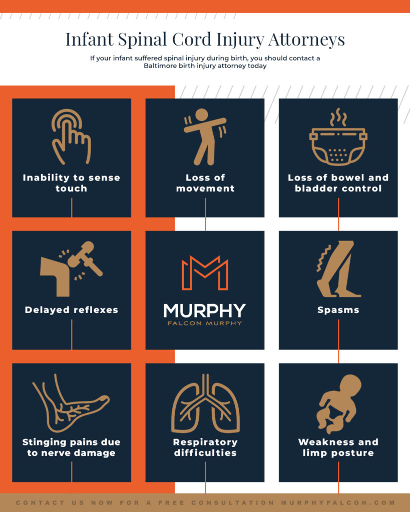 An infographic that describes the various physical injuries that can occur from a spinal cord.