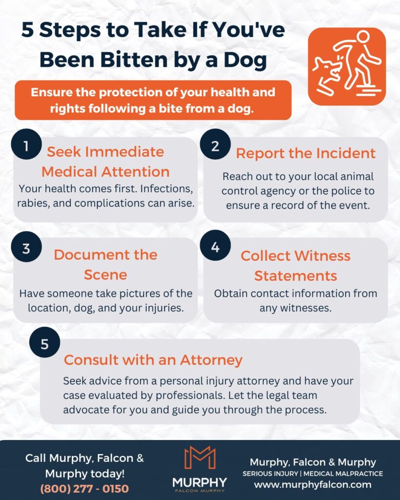 what to do if you have been bitten by a dog