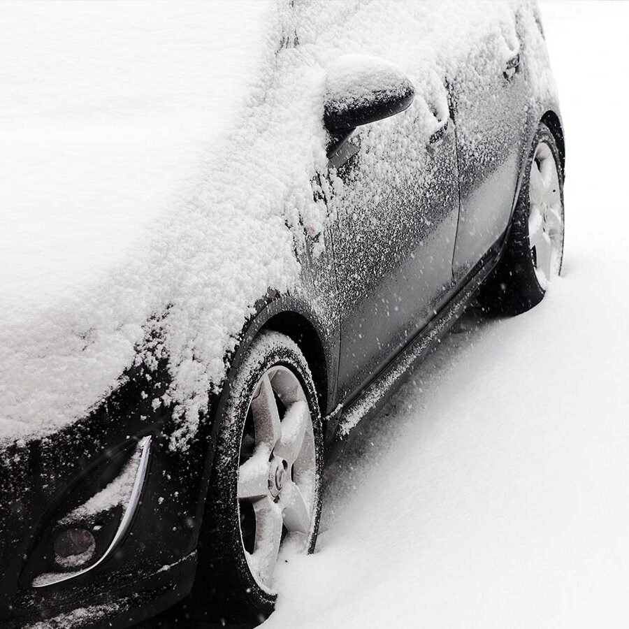 1200x900GMB-3-murphy