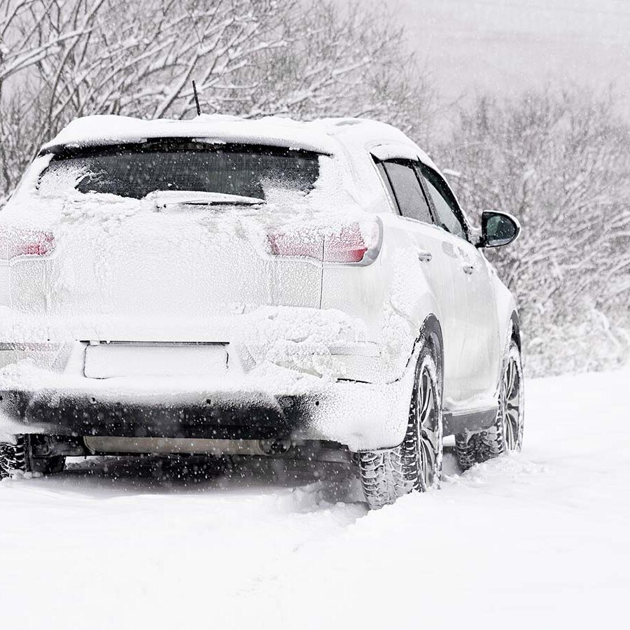 1200x900GMB-4-murphy