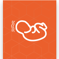orange baby icon